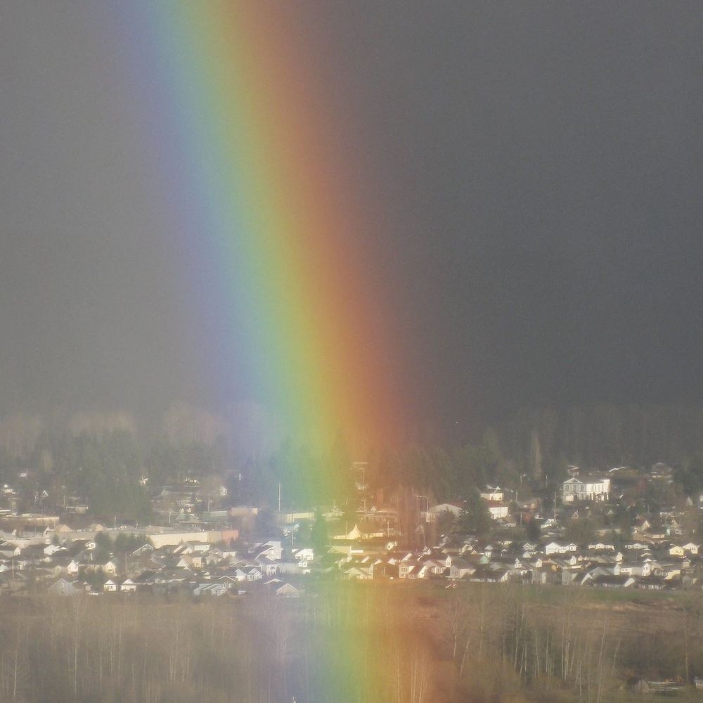 Meet your Posher, Alina